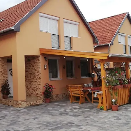 Agica Vendeghaz Villa Andornaktálya Exterior photo